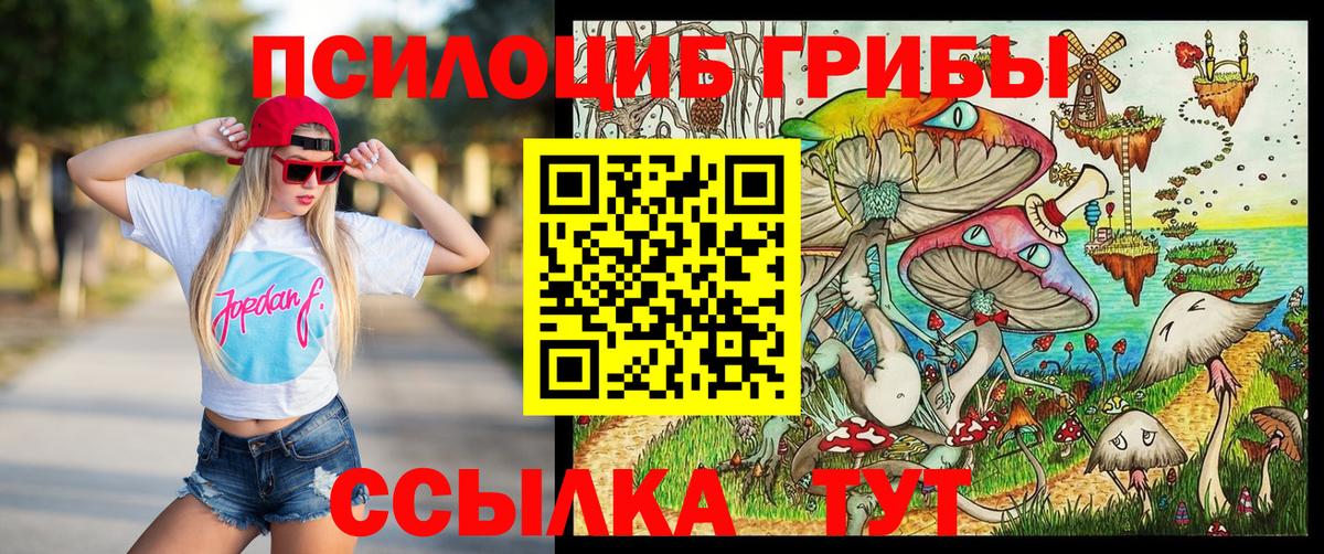 Елизово  Галлюциногенные грибы Magic Shrooms  что такое наркотик  Вход с VPN 